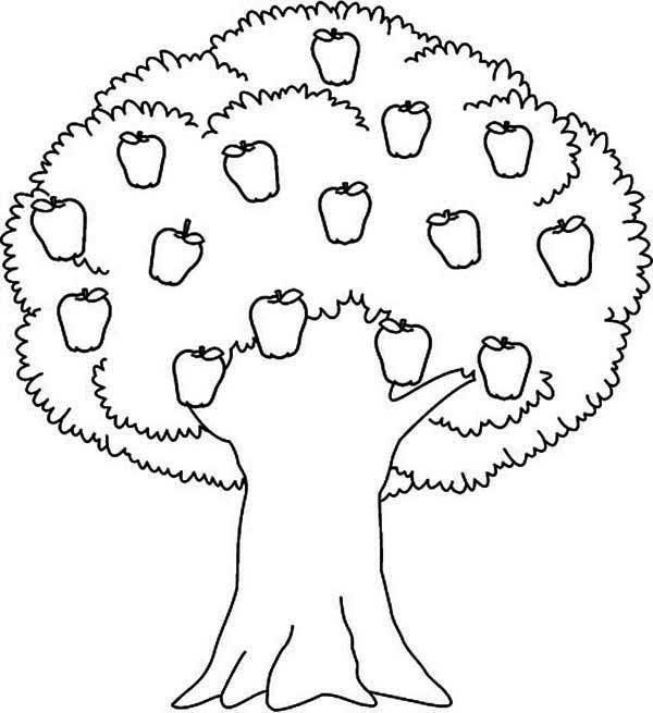 Tree Color Page Pictures Of Apple Tree Coloring Page Slp 600x655 Tree Color Page Pictures Of Apple Tree Coloring Page Slp