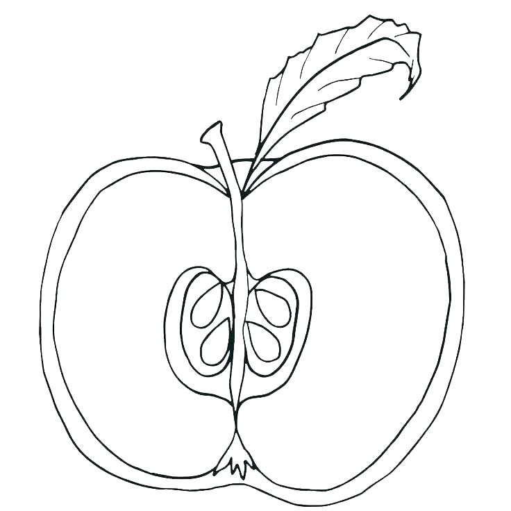 736x736 Coloring Page Of An Apple Apple Coloring Page Apple Coloring Pages