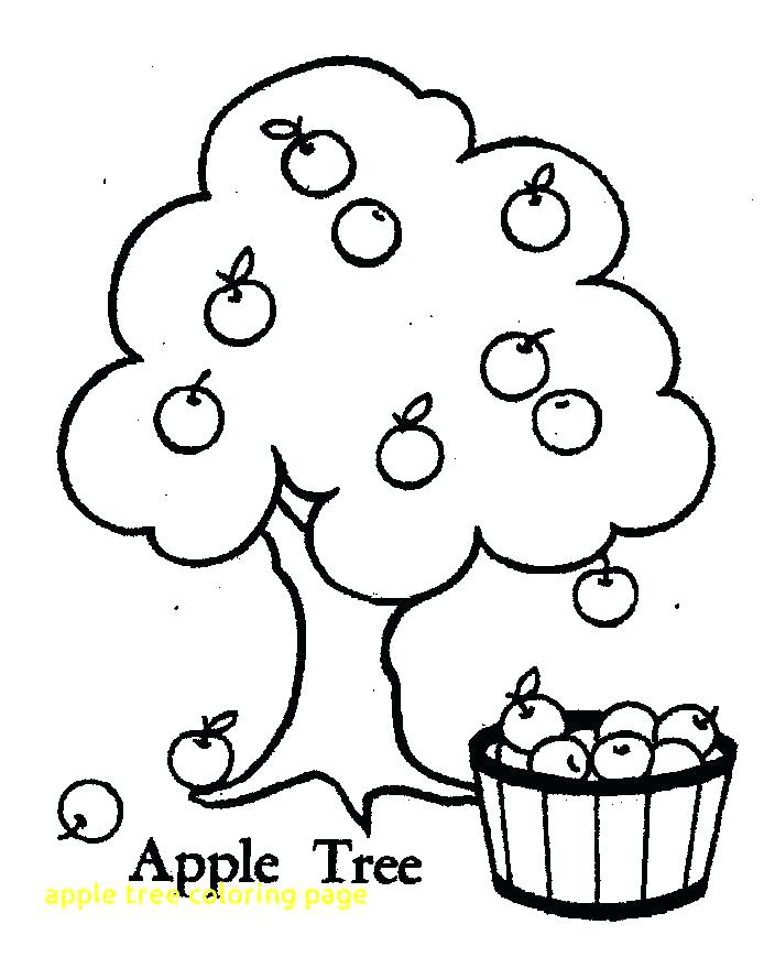 704x869 Applejack Coloring Page Coloring Page Of An Apple Apple Tree