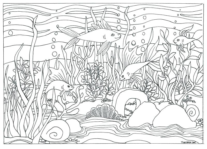 800x577 Aquarium Coloring Page Printable Aquarium Coloring Pages Empty