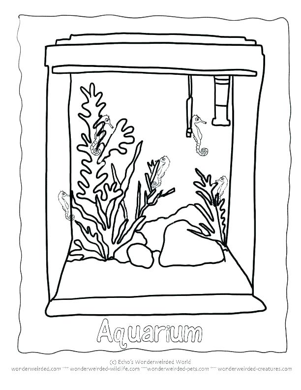 612x792 Aquarium Coloring Pages Empty Aquarium Coloring Coloring Fish Cute