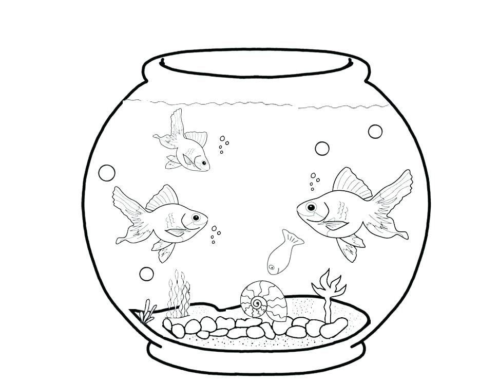 970x739 Marine Coloring Page Aquarium Coloring Page Marine Aquarium
