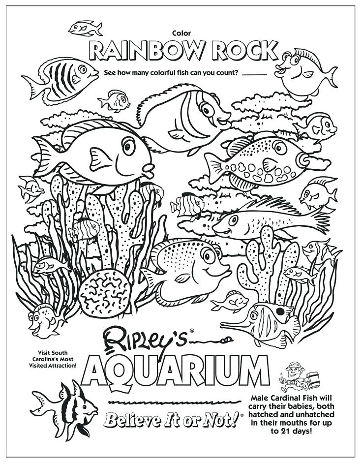 736x945 Sea Creatures Coloring Pages Underwater Sea Creatures Coloring