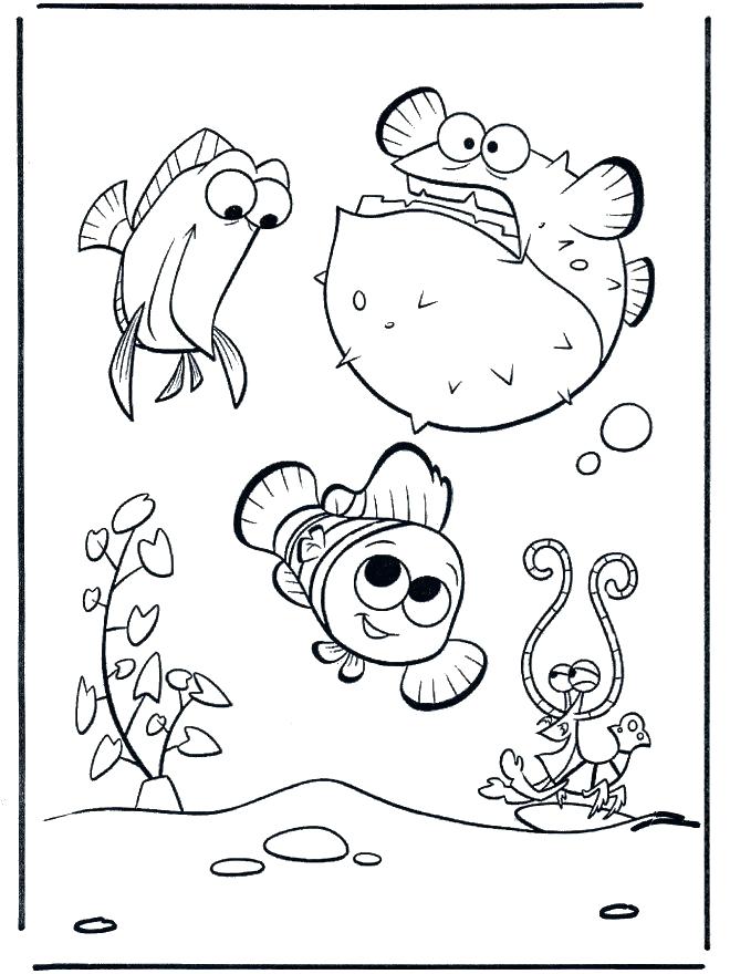 Clearwater Marine Aquarium Coloring Pages 660x880 Clearwater Marine Aquarium Coloring Pages