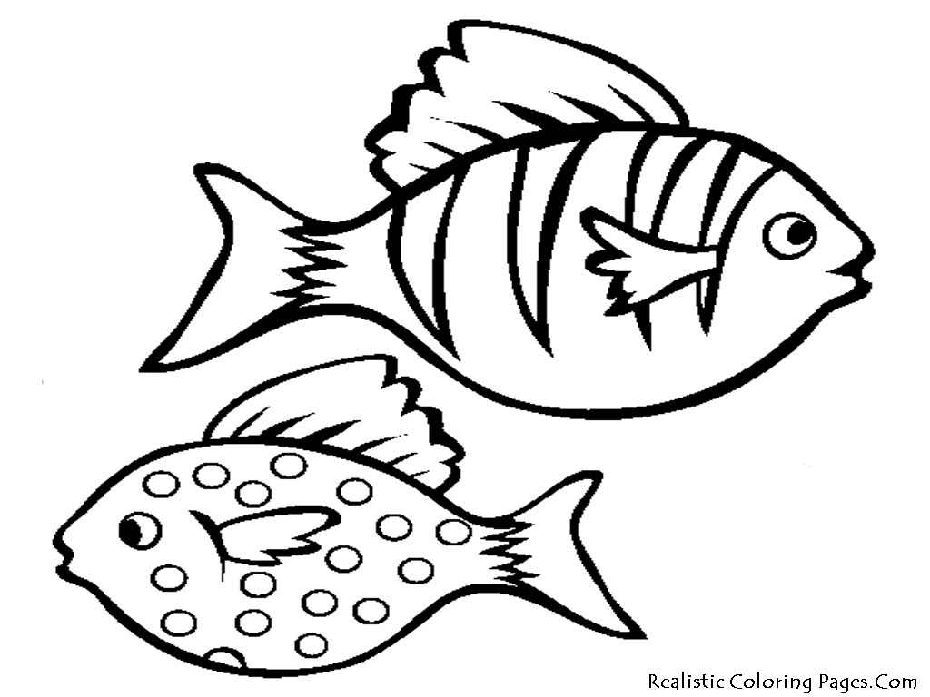 Coloring Educational Goldfish Pages Full Image For Cute Page 1024x768 Coloring Educational Goldfish Pages Full Image For Cute Page