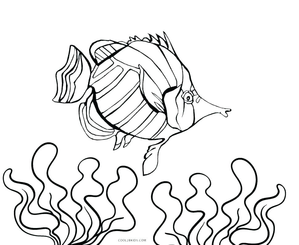 Fish Coloring Pages Free Fish Tank Coloring Page Aquarium Coloring 970x793 Fish Coloring Pages Free Fish Tank Coloring Page Aquarium Coloring