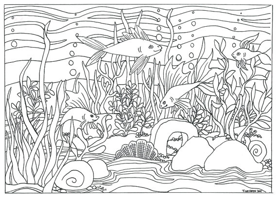 Printable Fish Amp Aquarium Scene Coloring By Triciagriffitharts 570x411 Printable Fish Amp Aquarium Scene Coloring By Triciagriffitharts