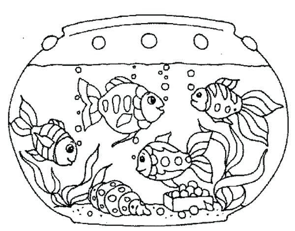 Aquarium Coloring Page Pet Fish In Aquarium Coloring Page Aquarium 600x470 Aquarium Coloring Page Pet Fish In Aquarium Coloring Page Aquarium