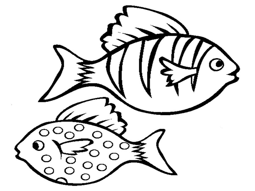 1000x750 Fish Color Pages To Print Activity Shelter Coloring Pages