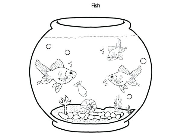 600x450 Aquarium Coloring Page Aquarium Coloring Pages Fish Free Printable