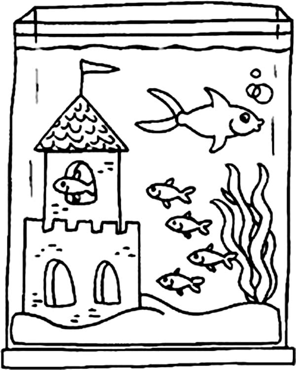 600x749 Fish Tank And Castle Inside Coloring Page