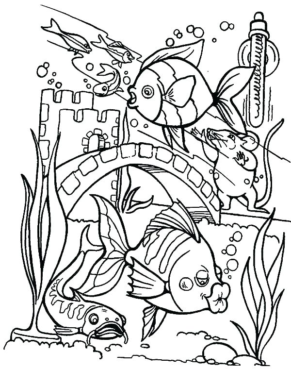 600x760 Blank Aquarium Coloring Page Printable Coloring Coloring Pages