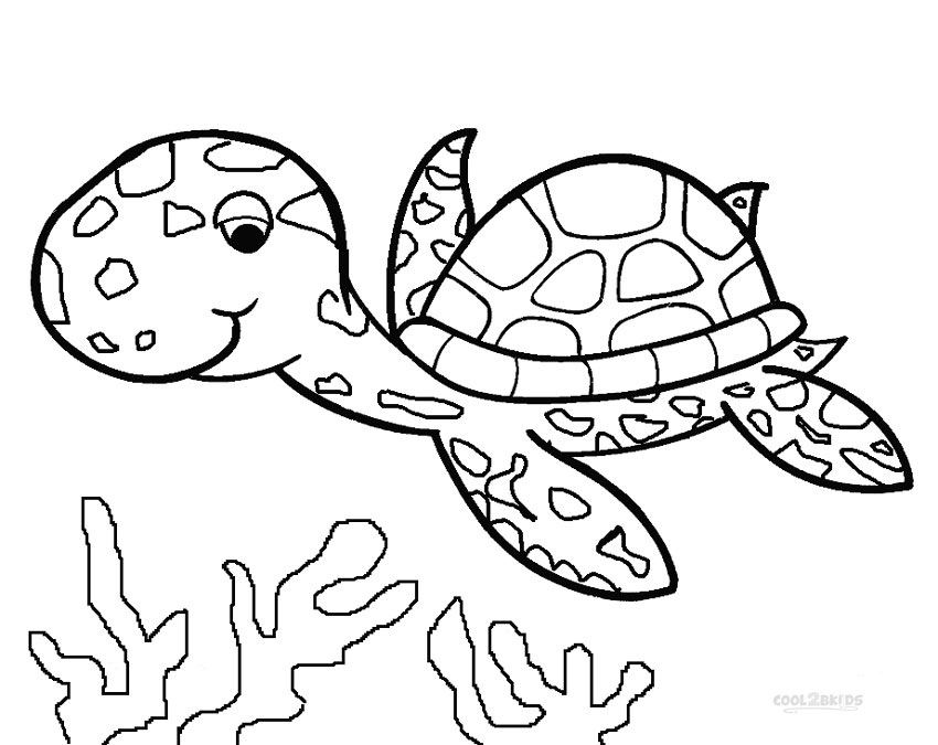 Printable Sea Turtle Coloring Pages For Kids Cool2bkids 850x675 Printable Sea Turtle Coloring Pages For Kids Cool2bkids