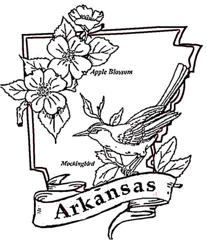 415x480 Arkansas State Flower Coloring Page Color Bros