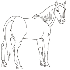 230x230 Top 48 Free Printable Horse Coloring Pages Online