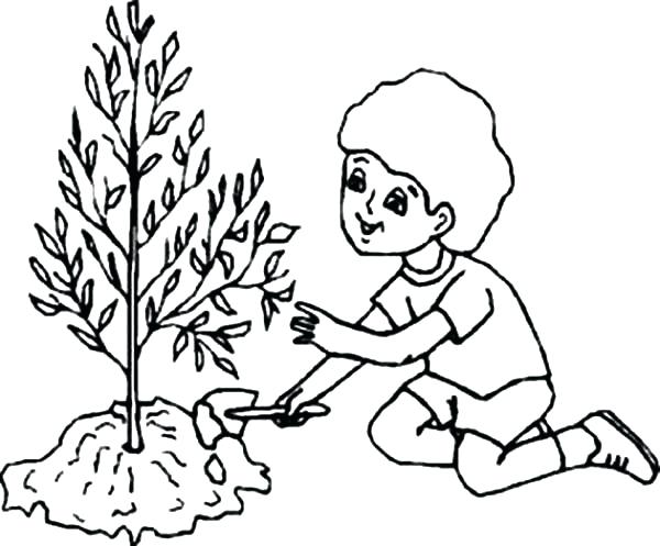 600x497 Caring Coloring Pages Arbor Day Kids Caring Tree On Arbor Day