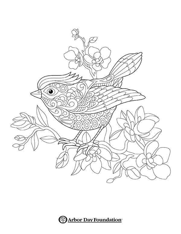 600x776 Coloring Pages