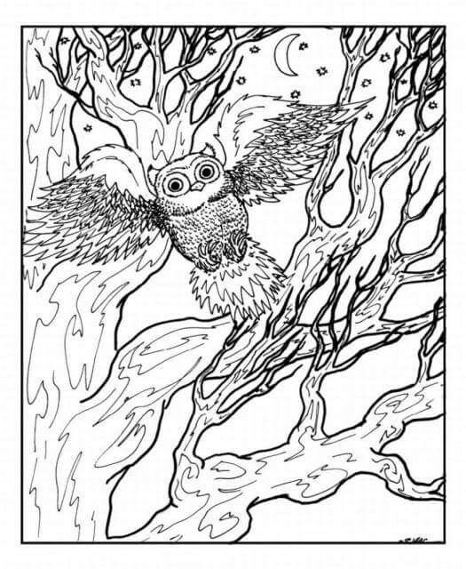 525x640 64 Best Coloring Pages Images On Coloring Pages