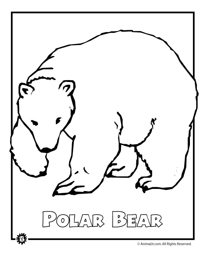Arctic Animals Coloring Pages