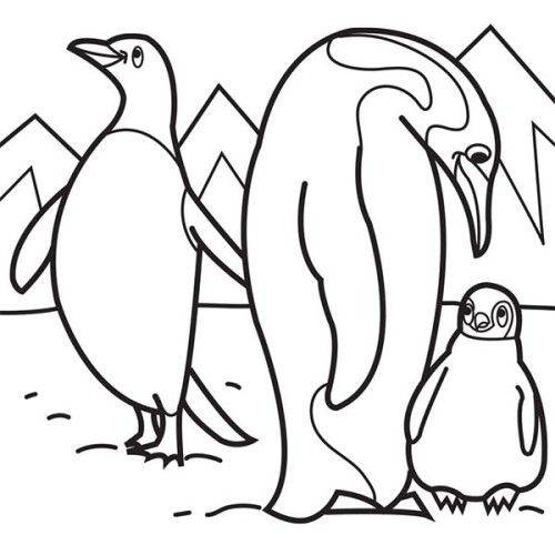 500x500 Arctic Animals Coloring Pages