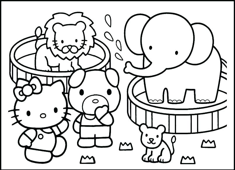 805x584 Coloring Pages Zoo Animals Arctic Animal Coloring Pages Polar