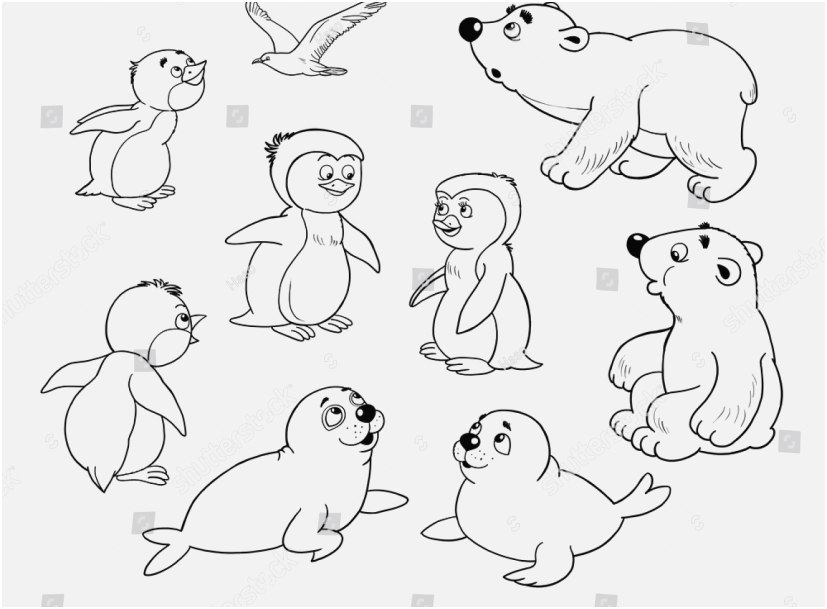 827x609 Zoo Animals Coloring Pages Display Arctic Animal Coloring Pages