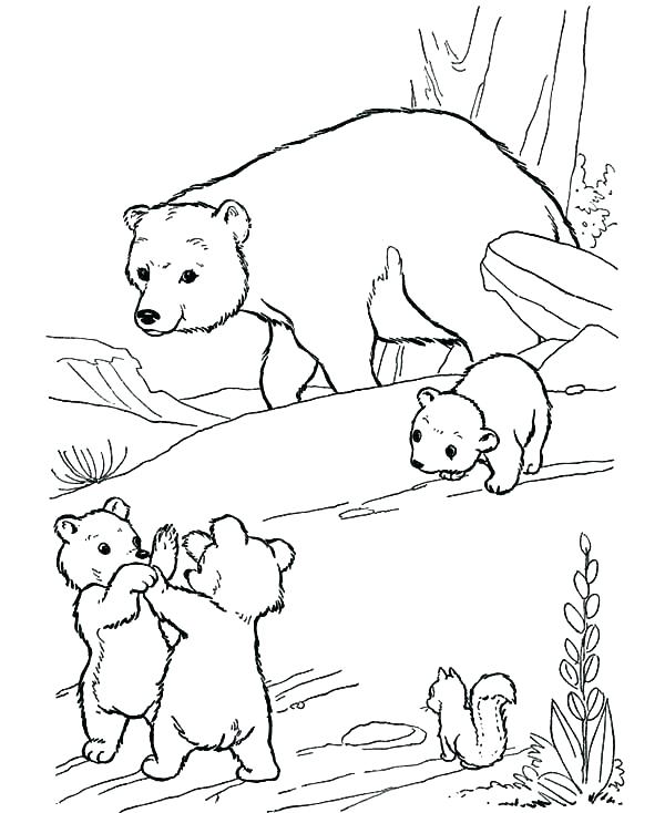 600x734 Arctic Animal Coloring Pages Polar Animal Coloring Pages Coloring