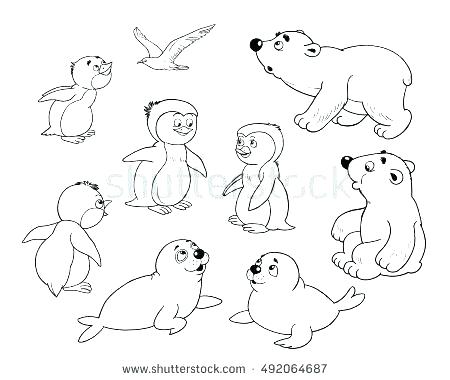 450x380 Arctic Animals Coloring Pages Arctic Animals Coloring Pages