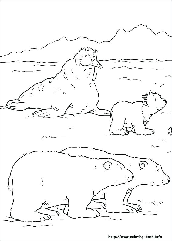 567x794 Arctic Colouring Pages Ice Floe Coloring Pages Free Printable