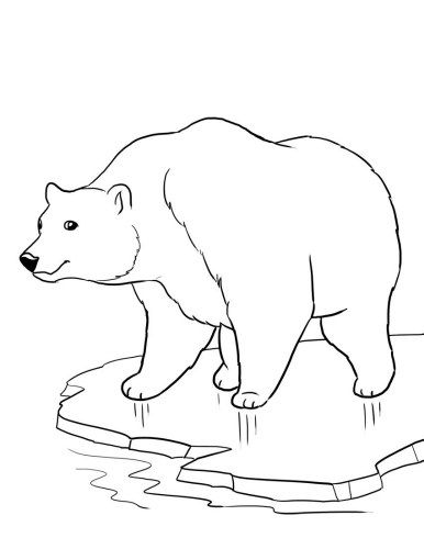 386x500 Polar Bear Coloring Sheet Drawing Ideas Polar Bear