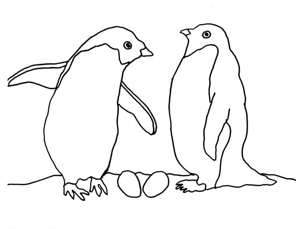 Arctic Coloring Pages Arctic Animals Coloring Pages 600x464 Arctic Coloring Pages Arctic Animals Coloring Pages