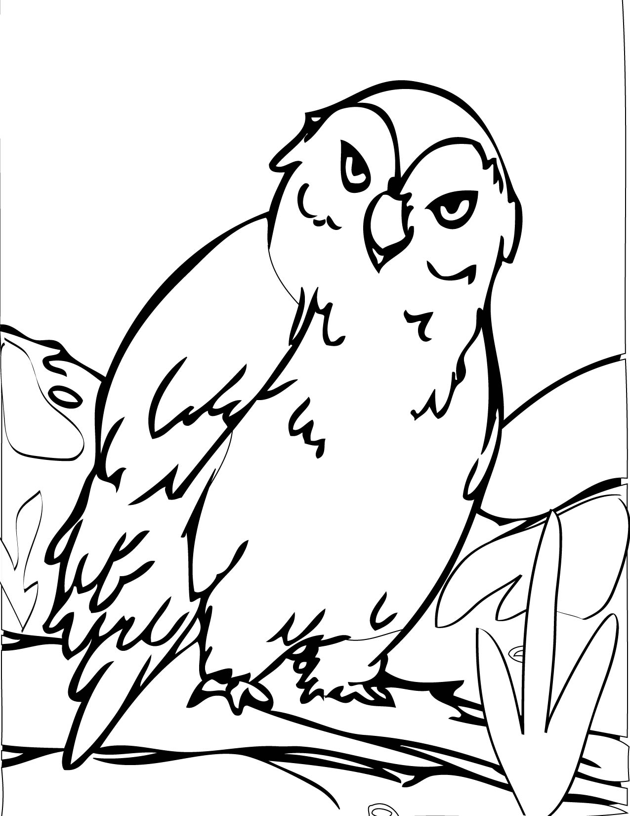 Arctic Owl Coloring Page 1275x1650 Arctic Owl Coloring Page