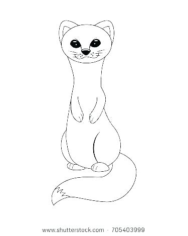Ferret Coloring Pages Ferret Coloring Pages Arctic Coloring Pages 375x470 Ferret Coloring Pages Ferret Coloring Pages Arctic Coloring Pages