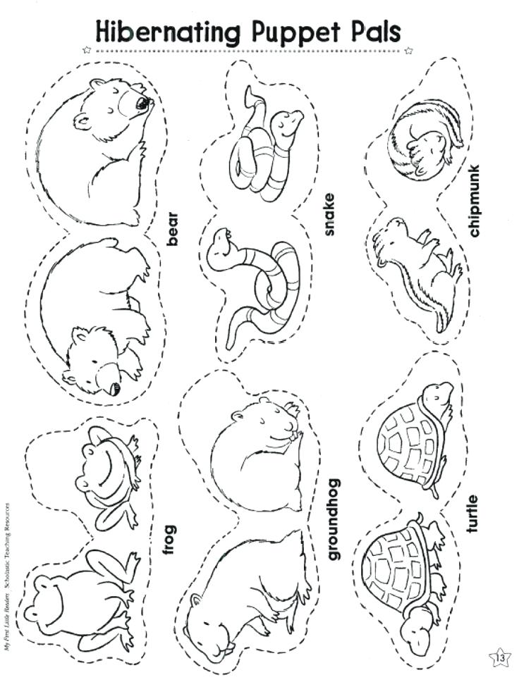 Polar Animals Coloring Pages Arctic Animals Coloring Pages 736x968 Polar Animals Coloring Pages Arctic Animals Coloring Pages