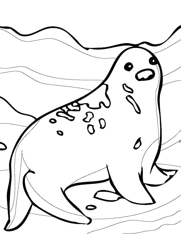 Seal Coloring Pages Arctic Animals Coloring Pages Seal Coloring 600x776 Seal Coloring Pages Arctic Animals Coloring Pages Seal Coloring