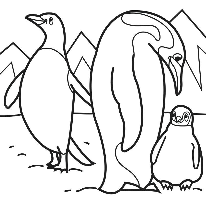Arctic Animal Coloring Pages Arctic Animals Penguin Parent 842x842 Arctic Animal Coloring Pages Arctic Animals Penguin Parent