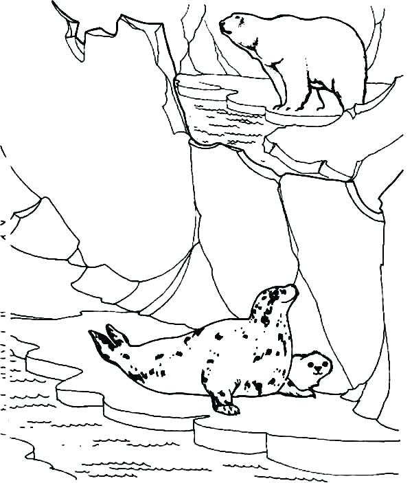 Arctic Animals Coloring Pages Arctic Animal Coloring Pages Arctic 600x703 Arctic Animals Coloring Pages Arctic Animal Coloring Pages Arctic