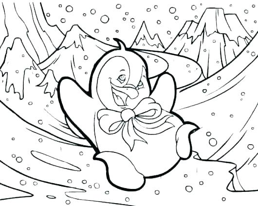 Arctic Animals Coloring Pages Free Polar Bear Animal Best Of 530x423 Arctic Animals Coloring Pages Free Polar Bear Animal Best Of