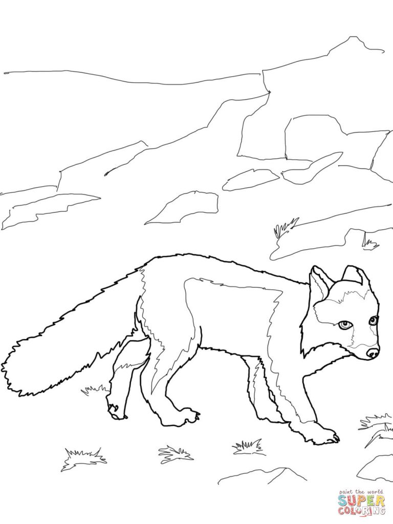 Polar Fox For Coloring Page 768x1024 Polar Fox For Coloring Page
