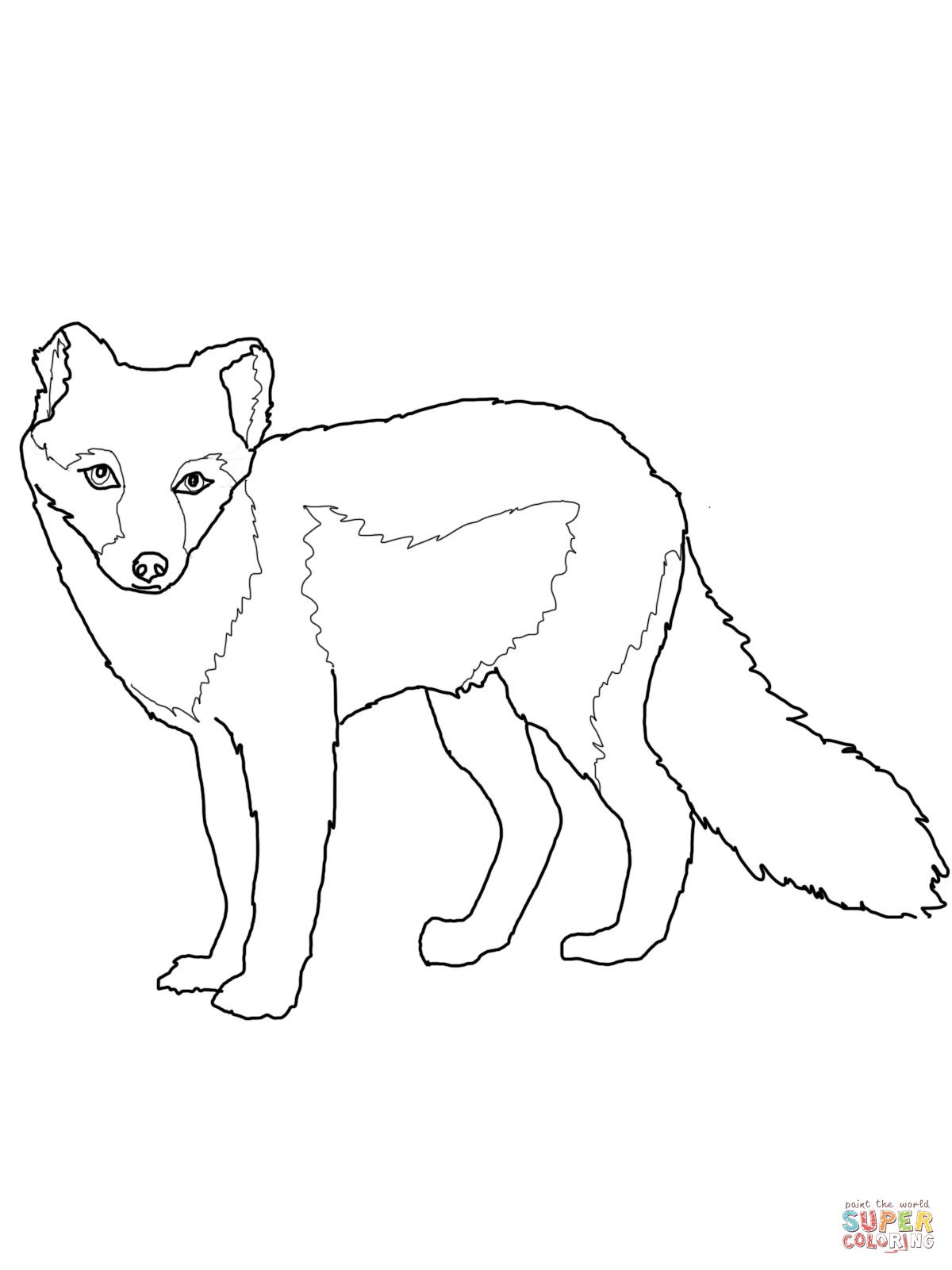Arctic Fox Summer Coat Coloring Page.jpg Stiches 1200x1600 Arctic Fox Summer Coat Coloring Page.jpg Stiches