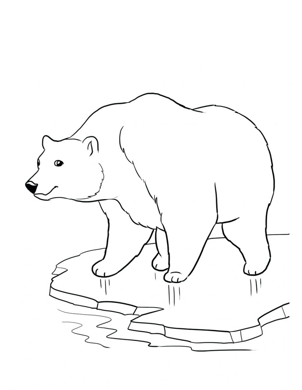 Coloring Page ~ Arctic Fox Coloring Page Good Polar Bear For Print 1024x1325 Coloring Page ~ Arctic Fox Coloring Page Good Polar Bear For Print