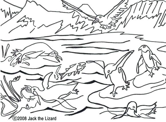 Arctic Coloring Pages Coloring Pages Of A Wolf Realistic Coloring 580x428 Arctic Coloring Pages Coloring Pages Of A Wolf Realistic Coloring