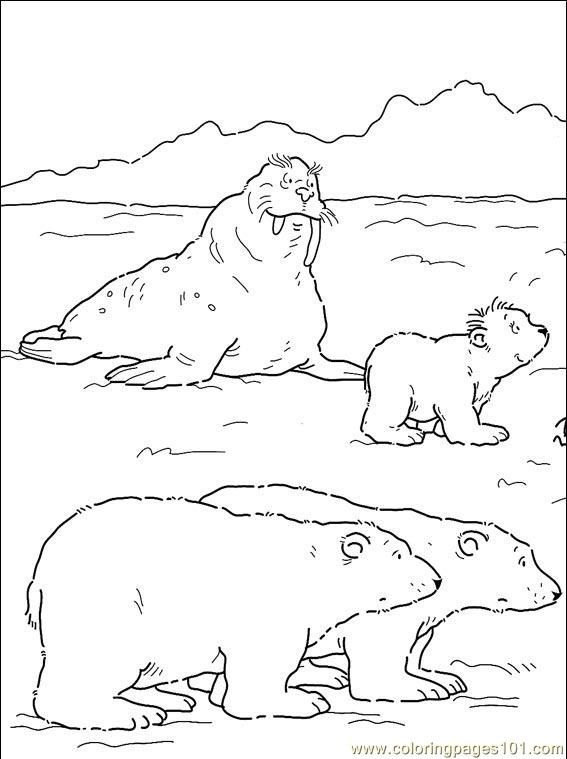 Artic Coloring Pages To Print 2nd Grade 567x759 Artic Coloring Pages To Print 2nd Grade