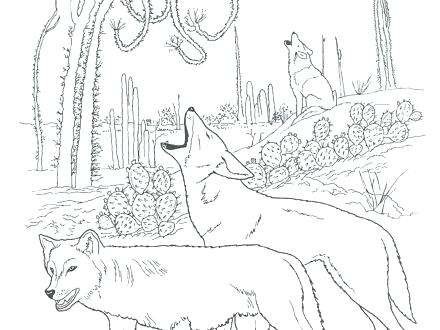 Arctic Habitat Coloring Pages at GetColorings.com | Free printable ...