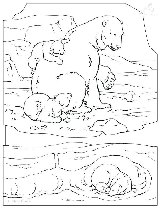 Coloring Pages For Kids Drawn Polar Bear Arctic Animal Pencil 650x841 Coloring Pages For Kids Drawn Polar Bear Arctic Animal Pencil