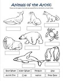 Polar Animals Coloring Pages 219x284 Polar Animals Coloring Pages