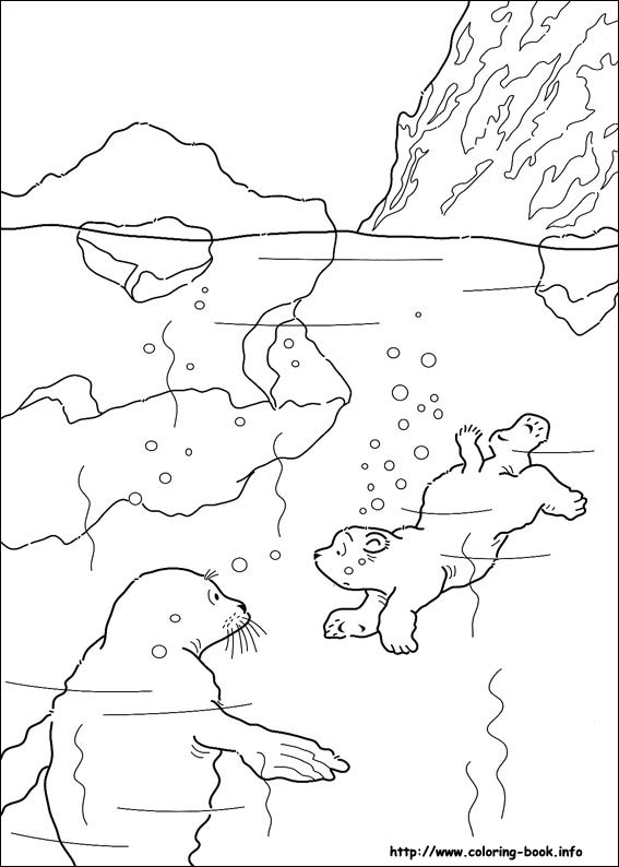Polar Coloring Pages 567x794 Polar Coloring Pages