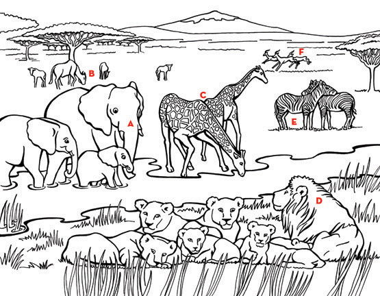 47 African Savanna Coloring Pages, Safari Or African Savanna 555x432 47 African Savanna Coloring Pages, Safari Or African Savanna