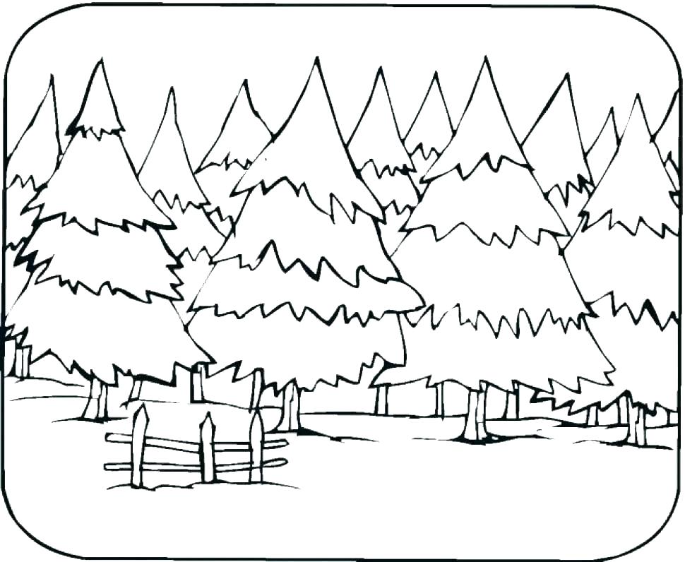 Animal Habitat Coloring Pages Animal Habitat Coloring Pages Animal 970x796 Animal Habitat Coloring Pages Animal Habitat Coloring Pages Animal