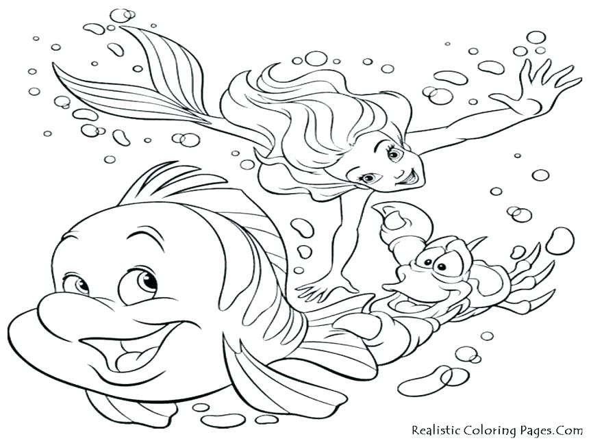 Animal Habitat Coloring Pages Arctic Animal Coloring Pages Free 863x647 Animal Habitat Coloring Pages Arctic Animal Coloring Pages Free